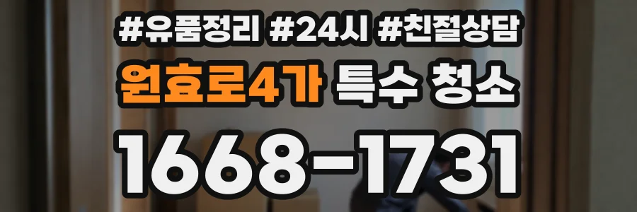 원효로4가 특수 청소