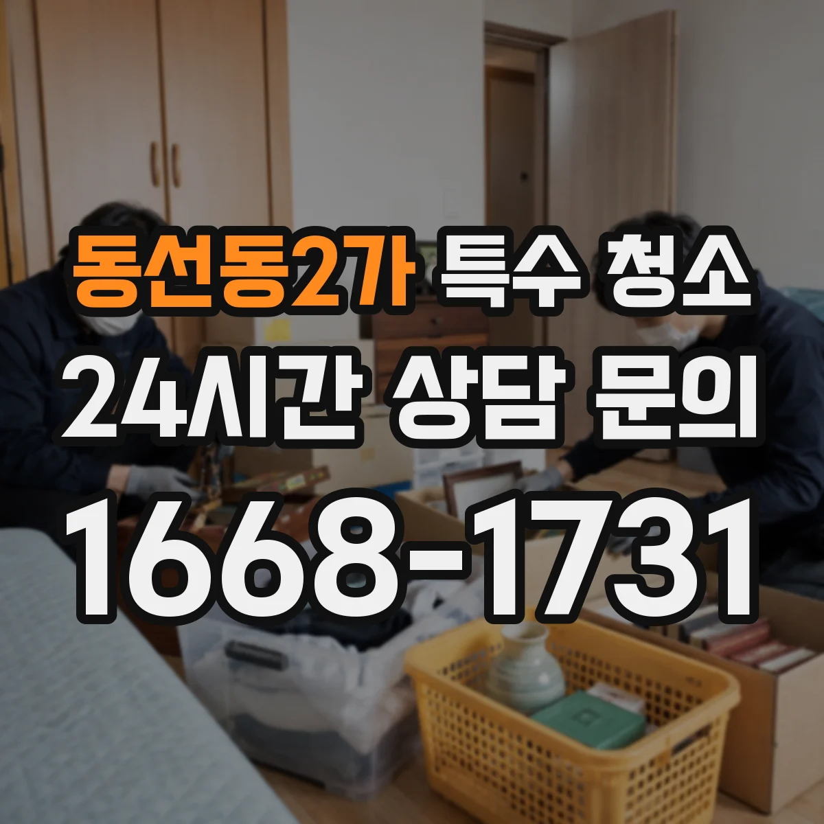 동선동2가 특수 청소