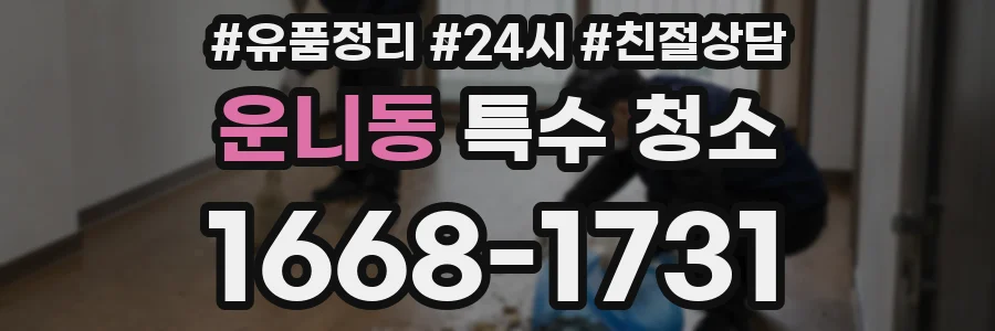 운니동 특수 청소
