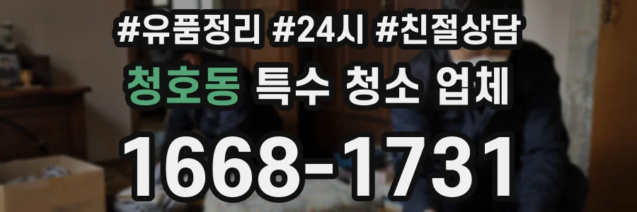 청호동 특수 청소 업체