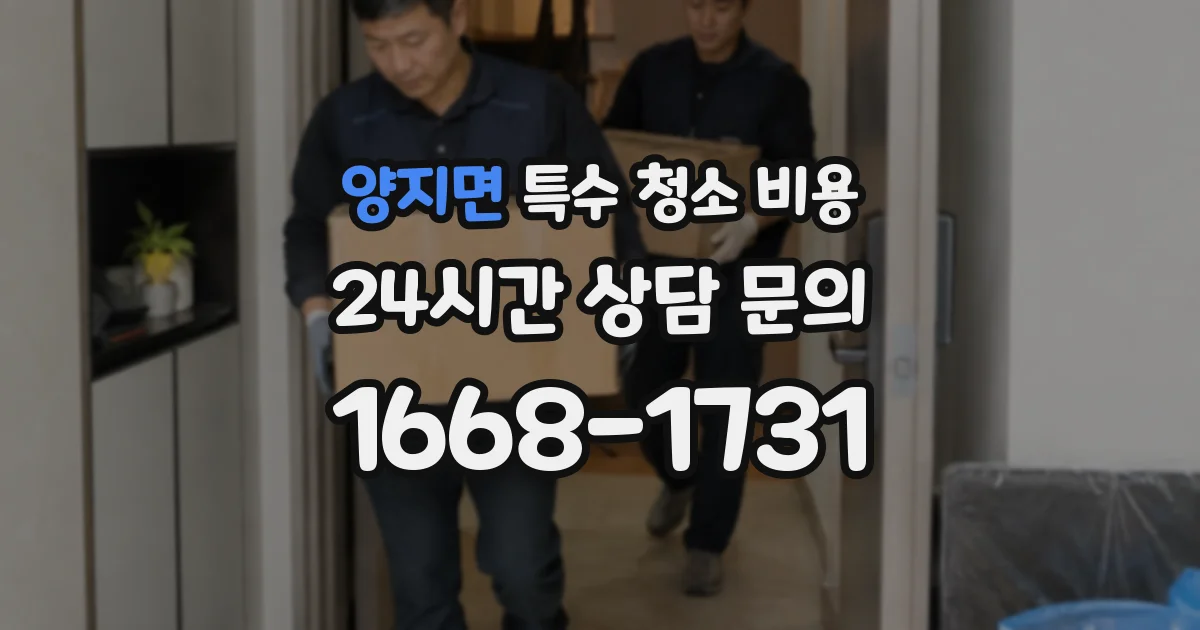 양지면 특수 청소 비용