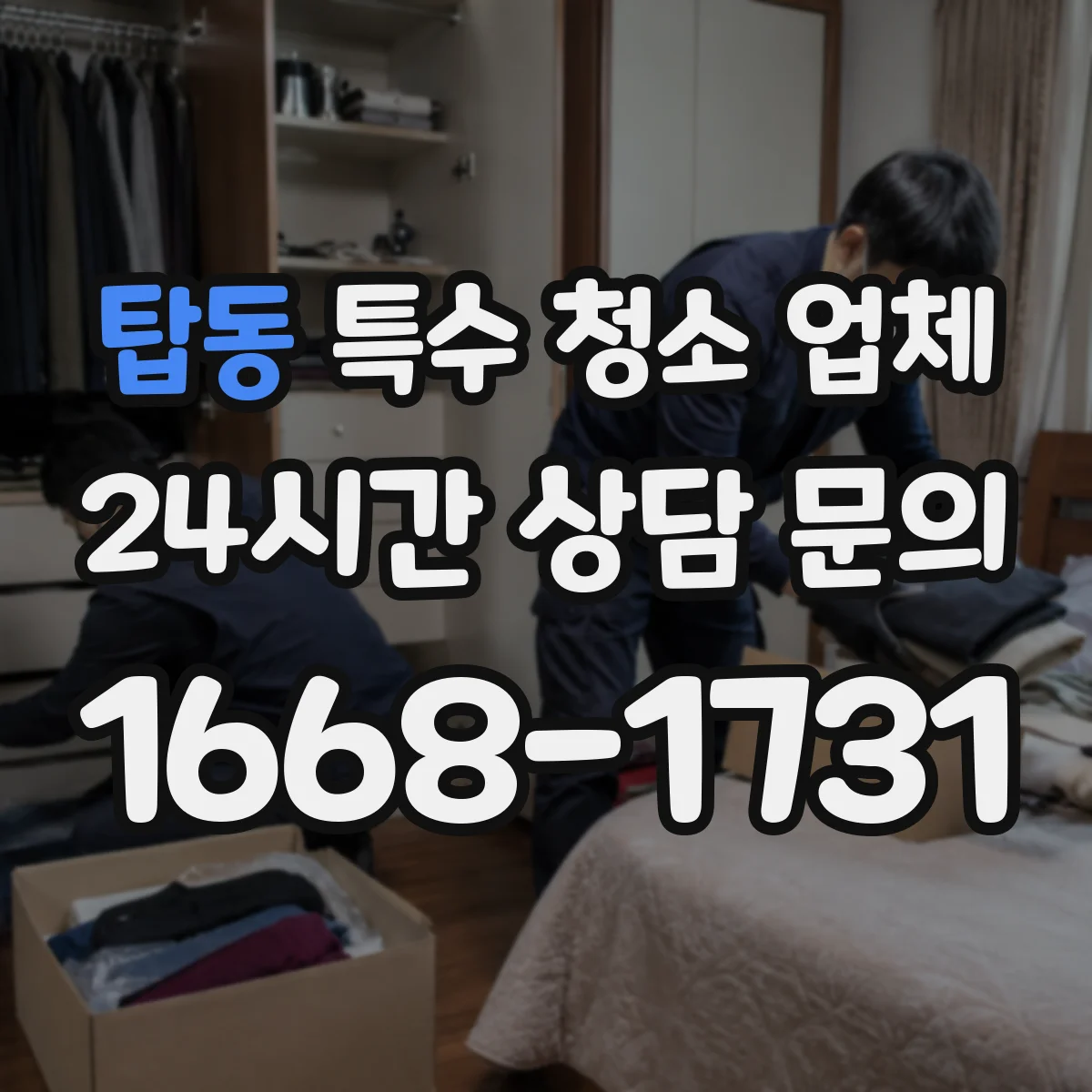 탑동 특수 청소 업체