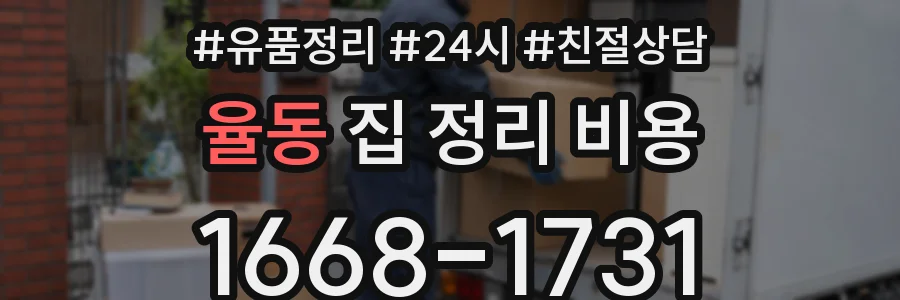 율동 집 정리 비용