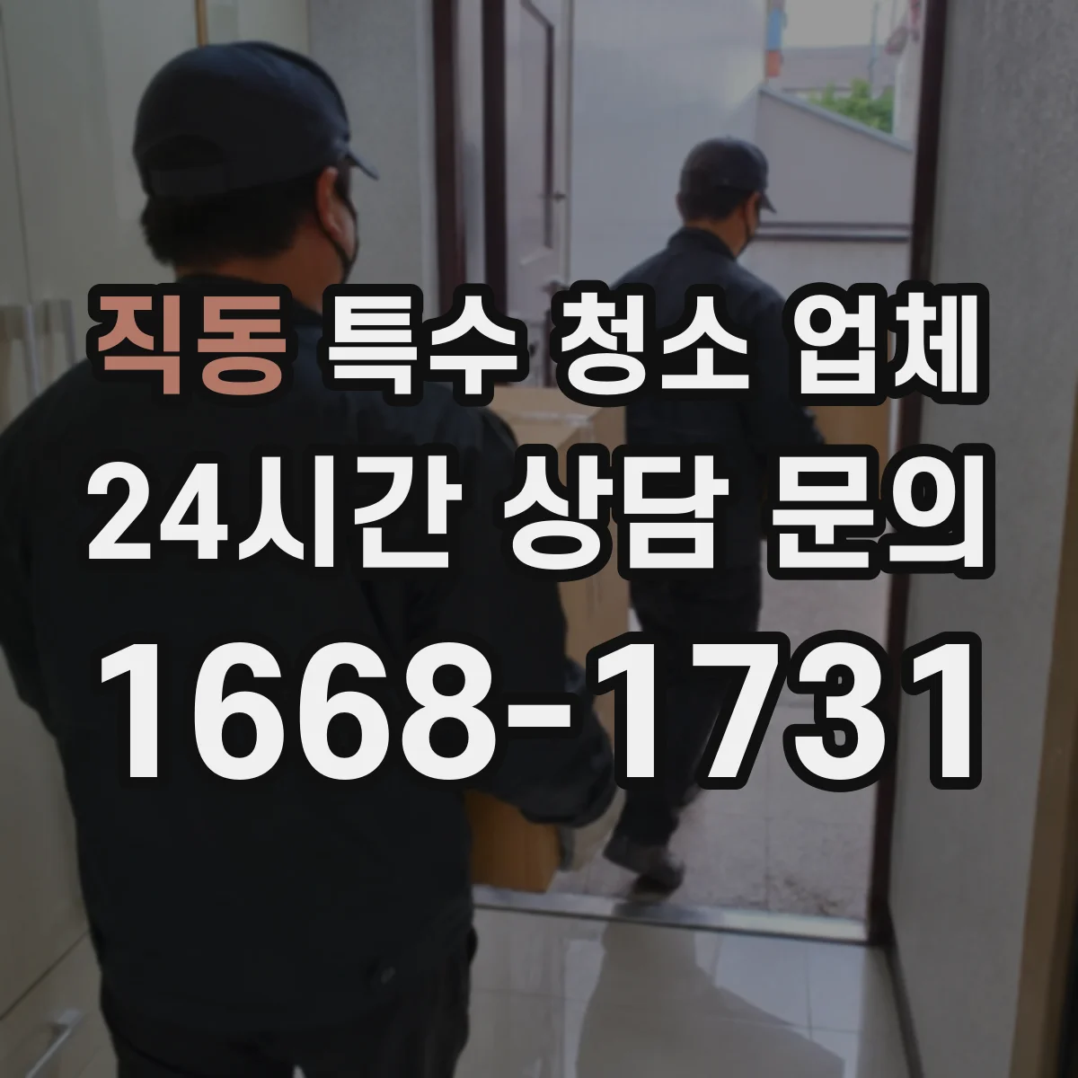 직동 특수 청소 업체