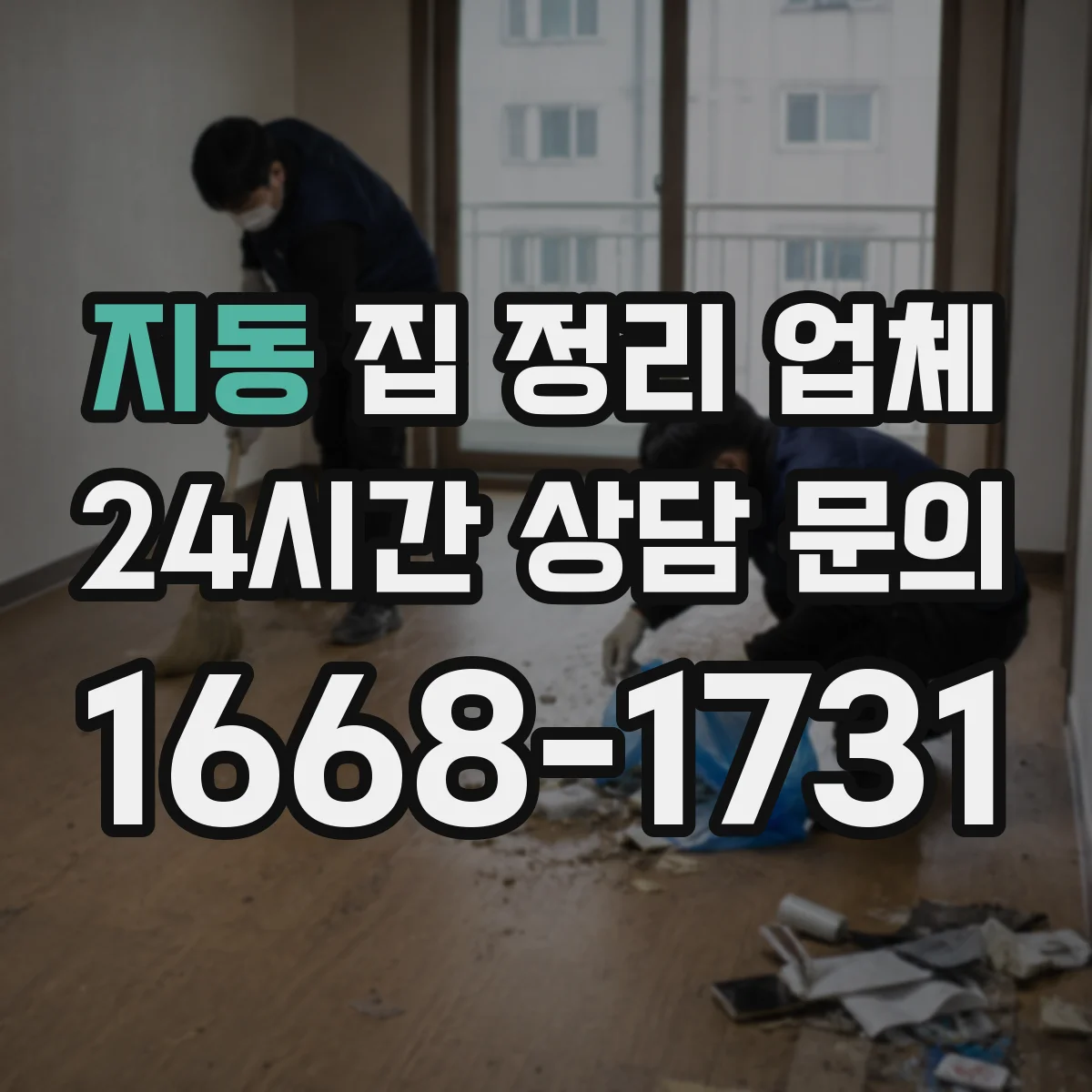 지동 집 정리 업체