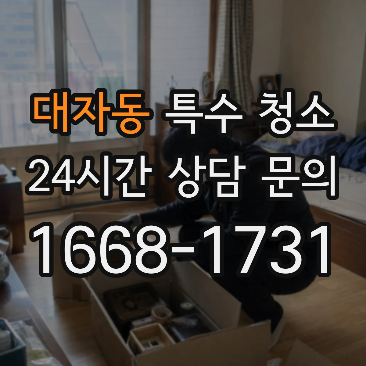대자동 특수 청소