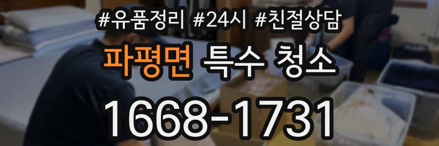 파평면 특수 청소