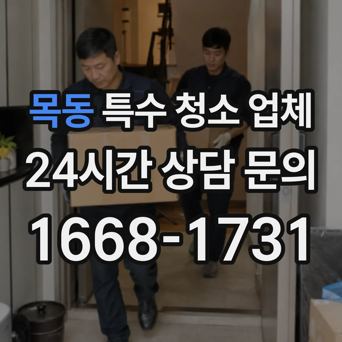 목동 특수 청소 업체