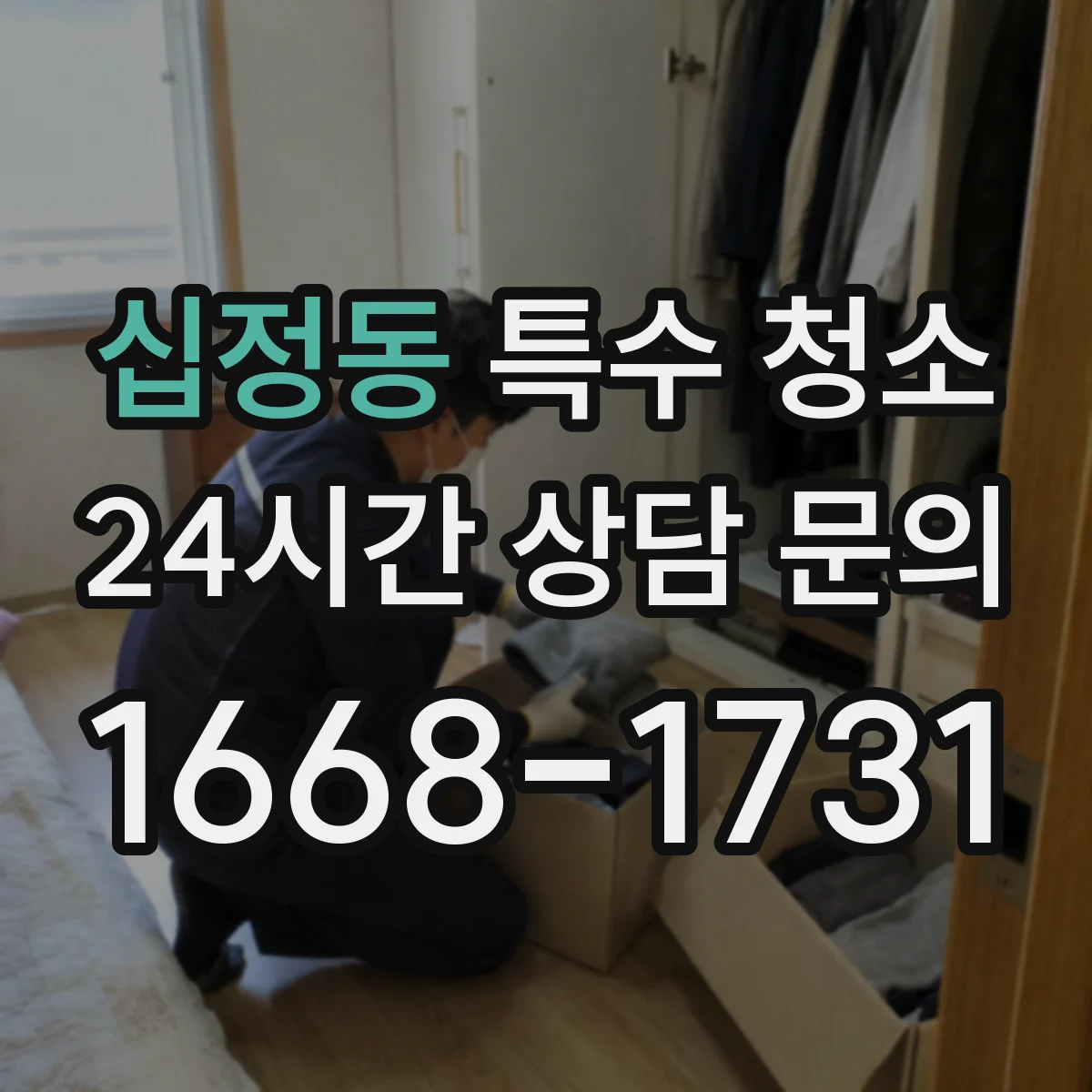 십정동 특수 청소