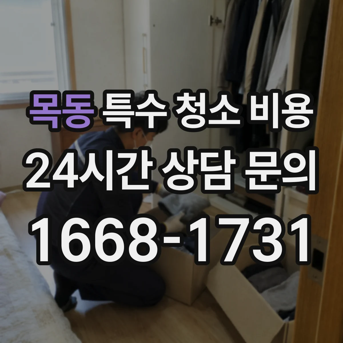 목동 특수 청소 비용