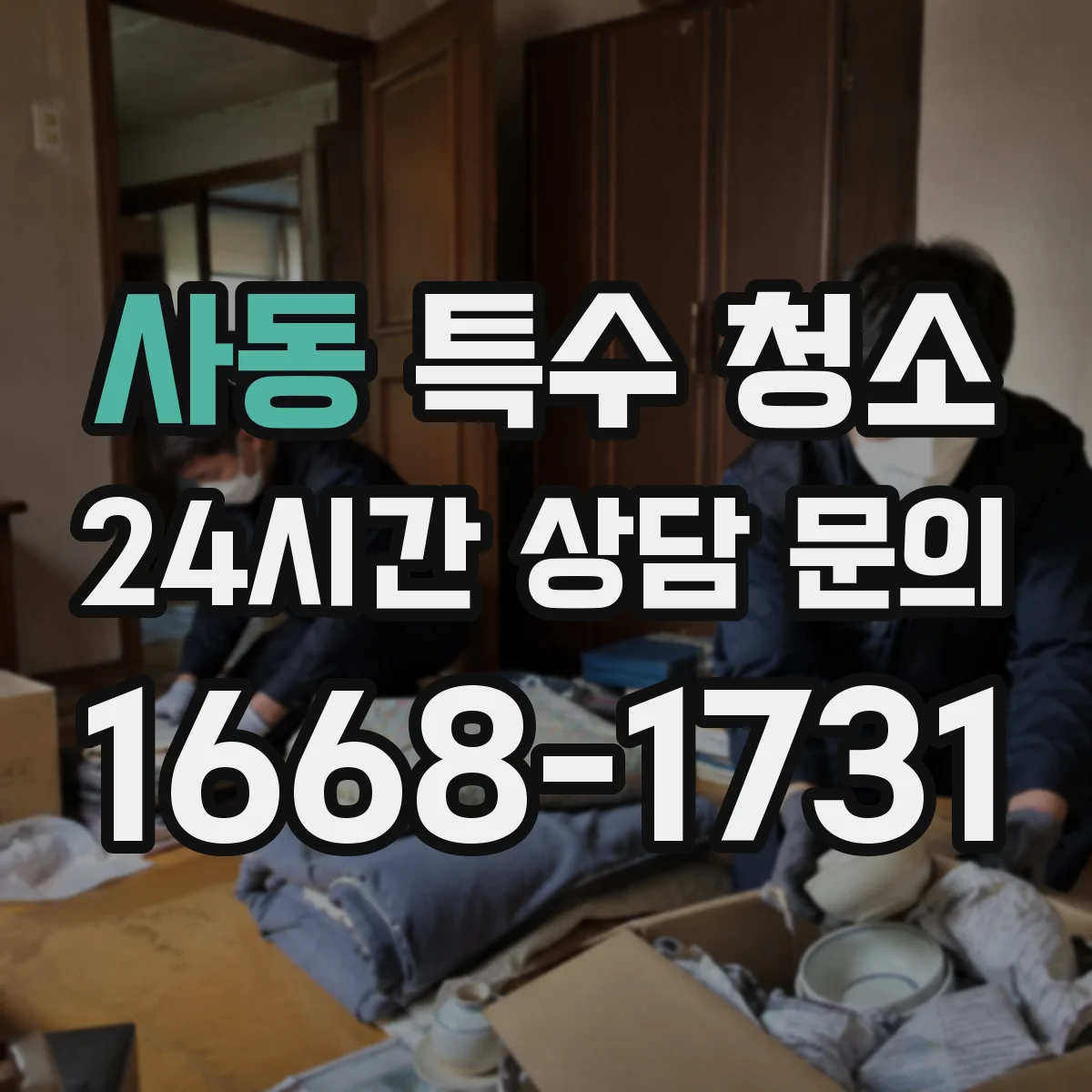 사동 특수 청소