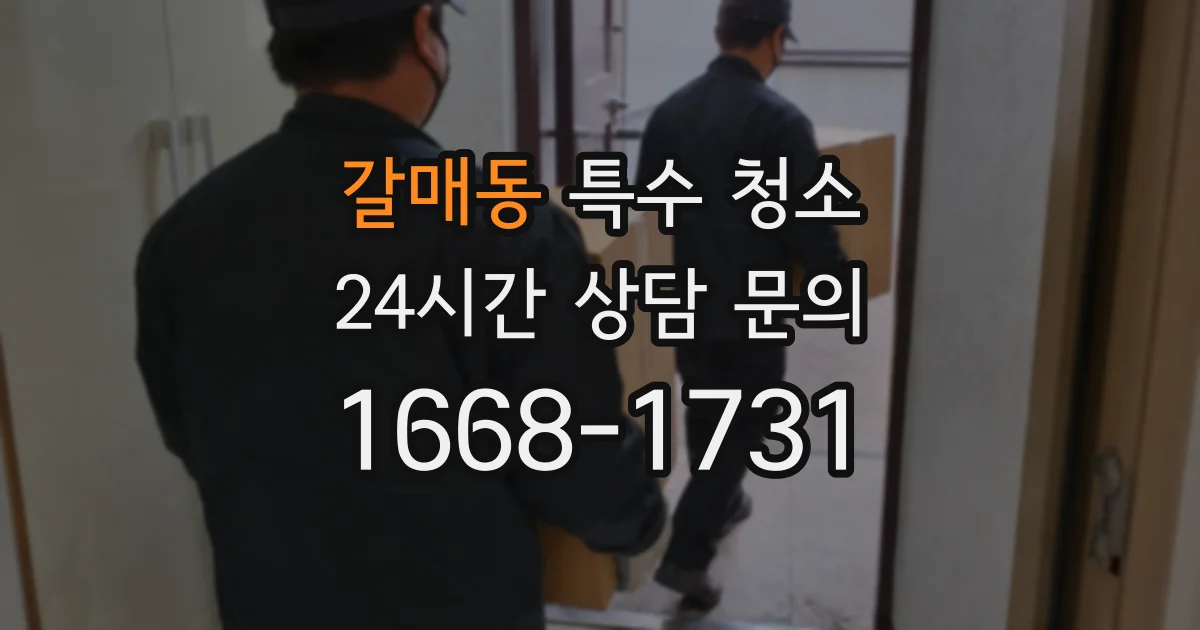 갈매동 특수 청소