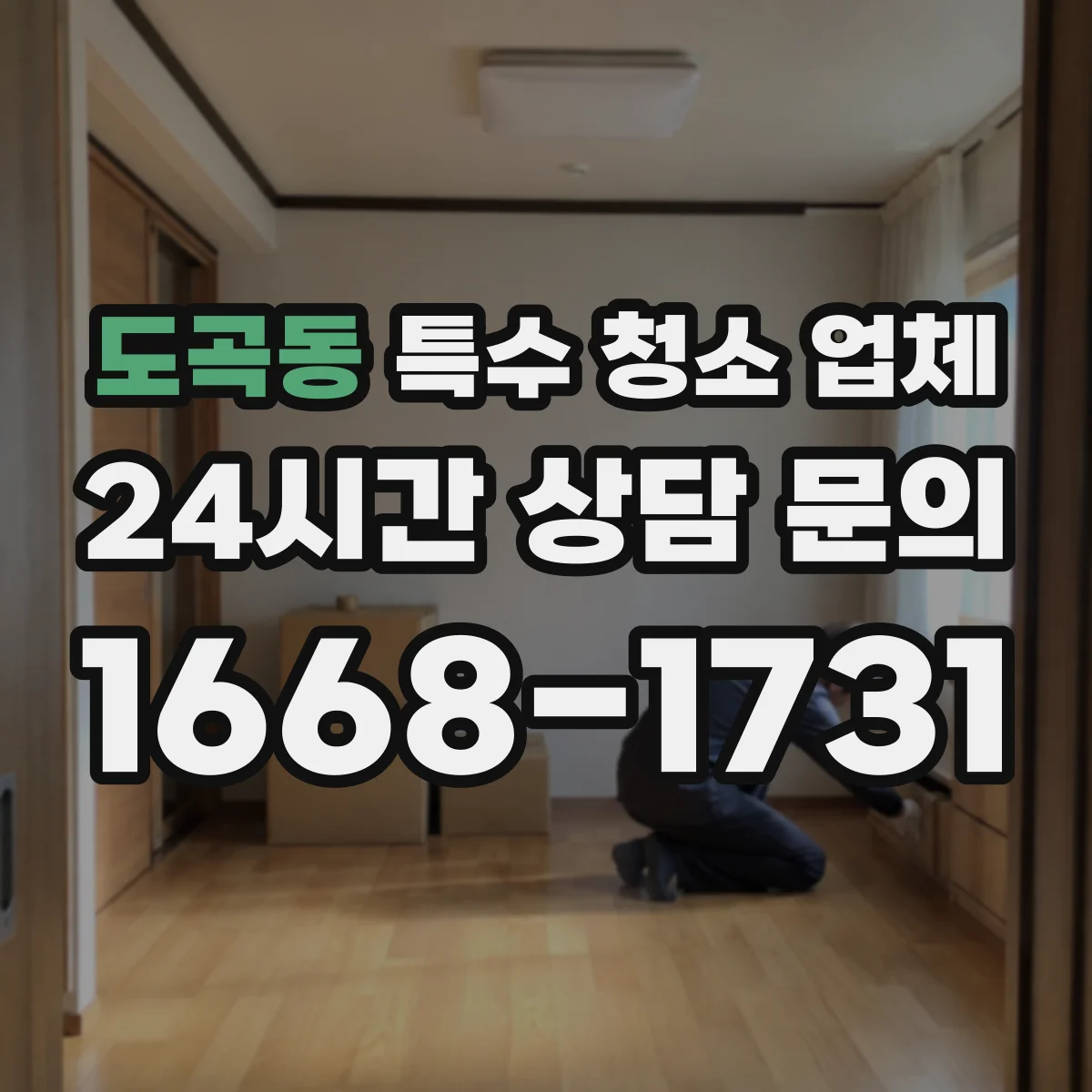 도곡동 특수 청소 업체