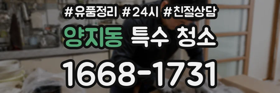 양지동 특수 청소