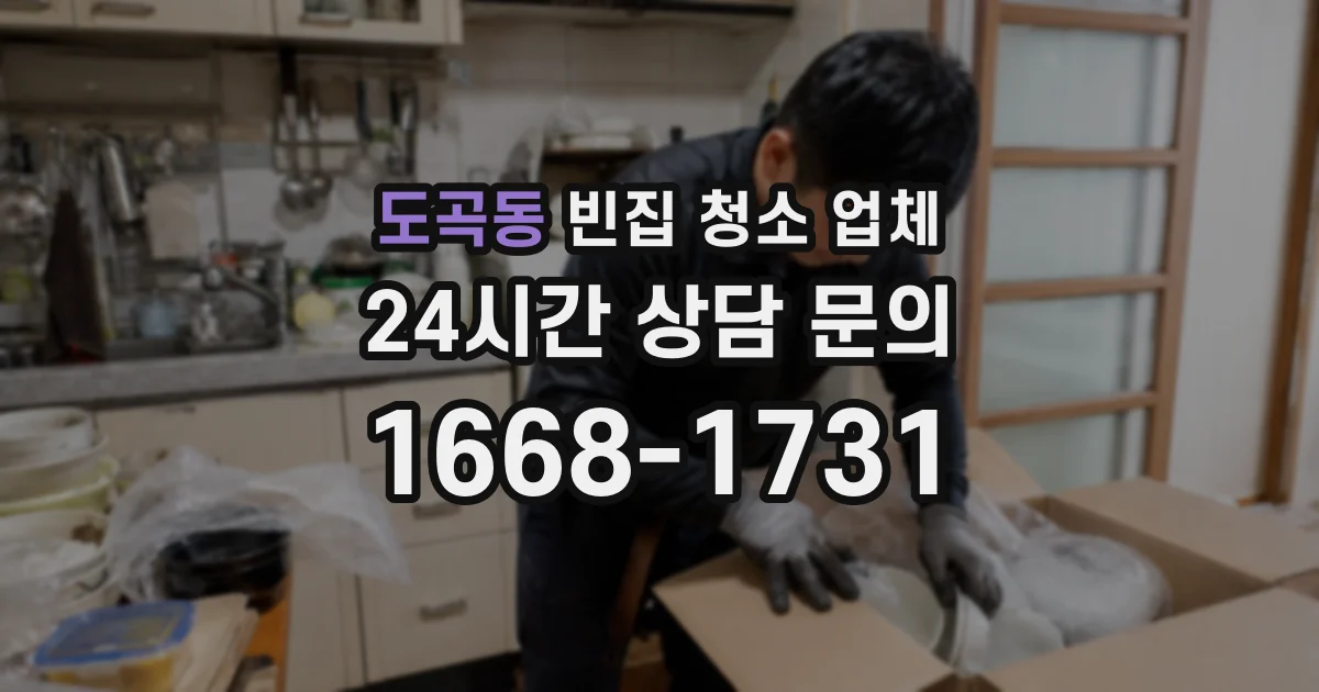 도곡동 빈집 청소 업체