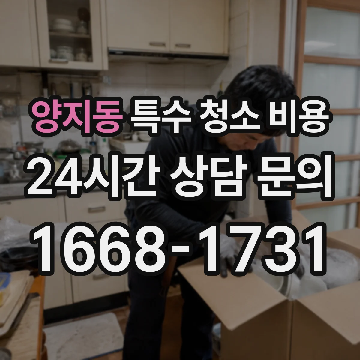 양지동 특수 청소 비용