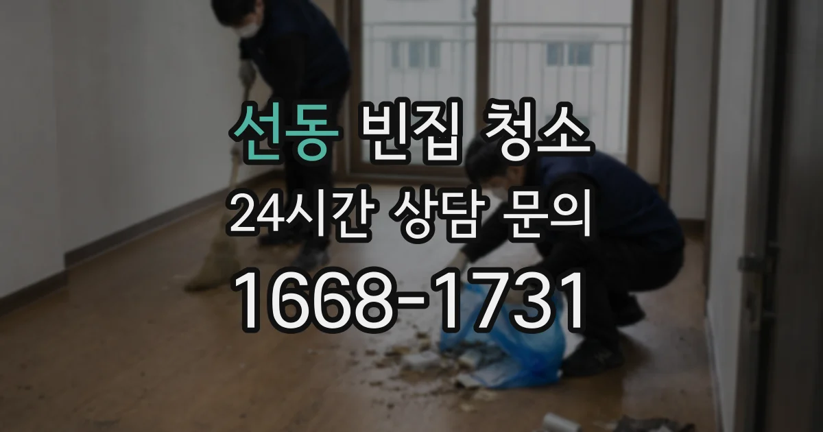 선동 빈집 청소