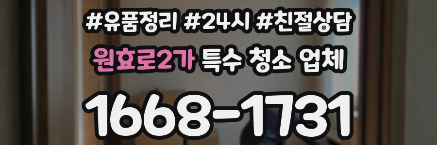 원효로2가 특수 청소 업체