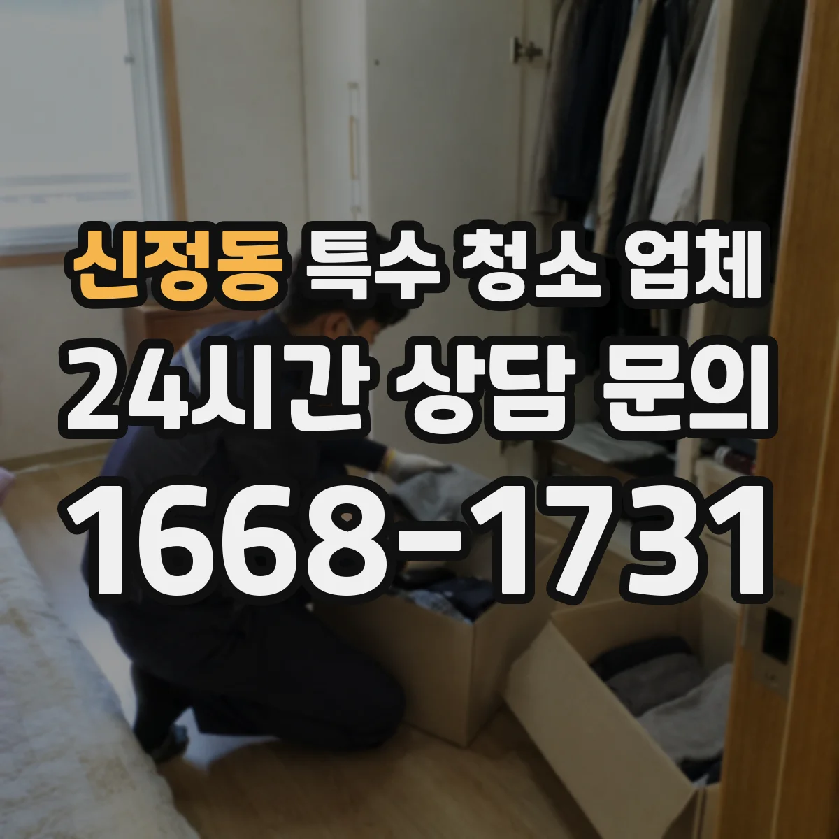 신정동 특수 청소 업체