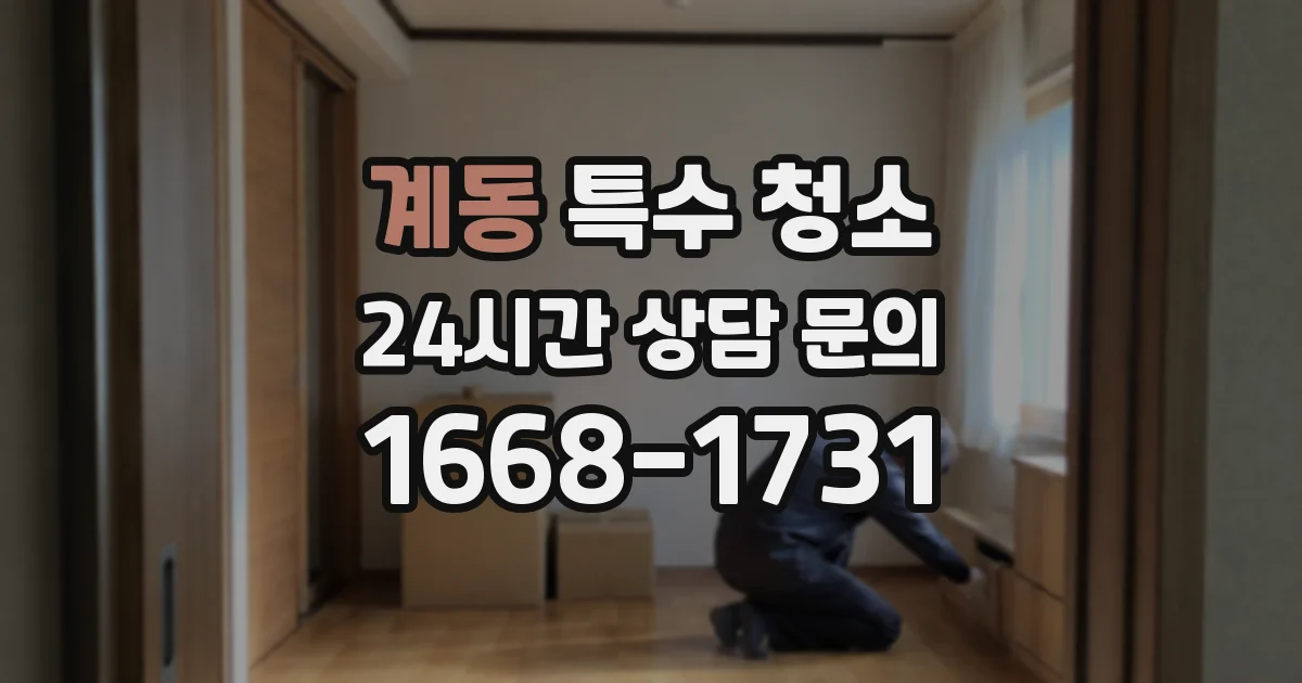 계동 특수 청소