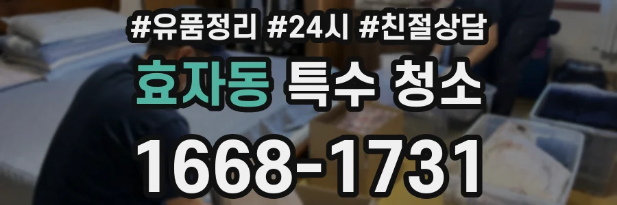 효자동 특수 청소