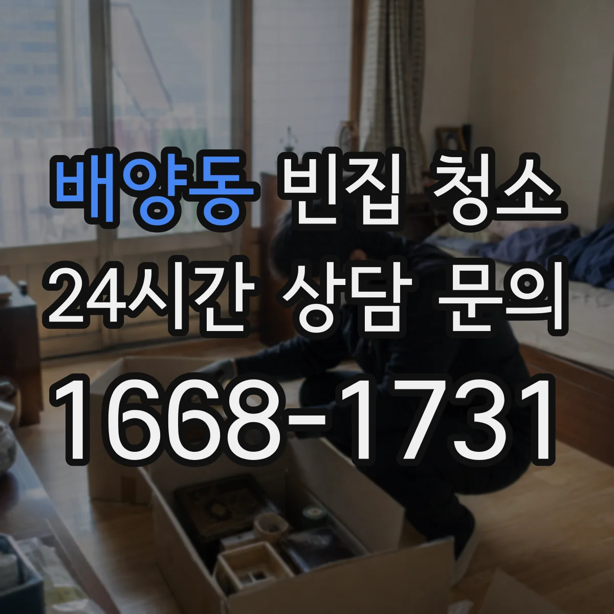 배양동 빈집 청소