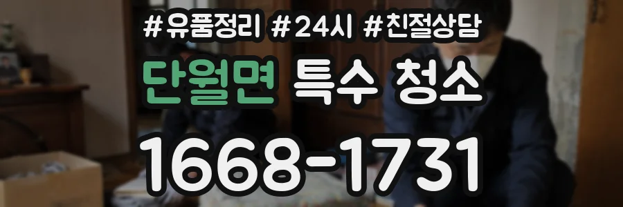 단월면 특수 청소