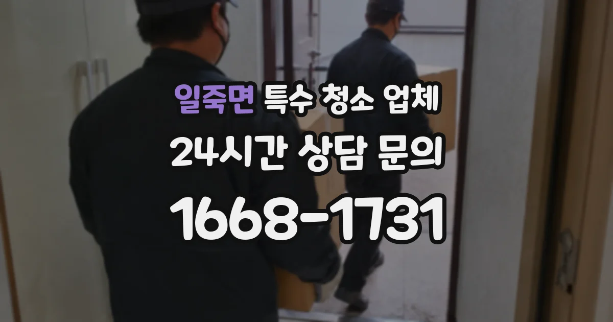 일죽면 특수 청소 업체