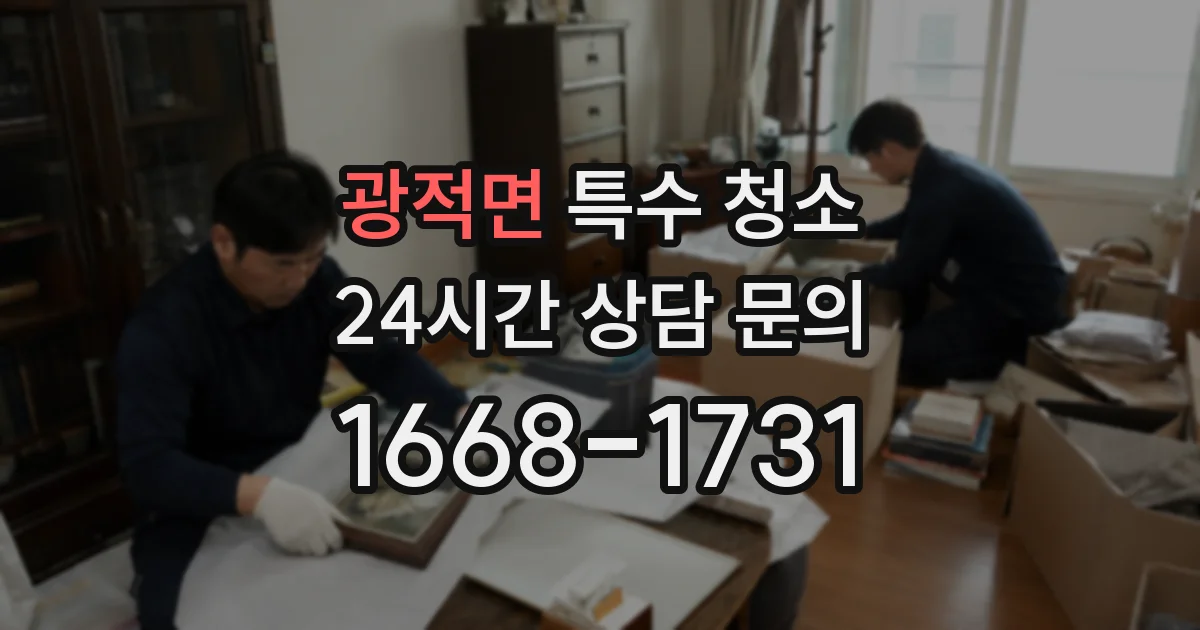 광적면 특수 청소