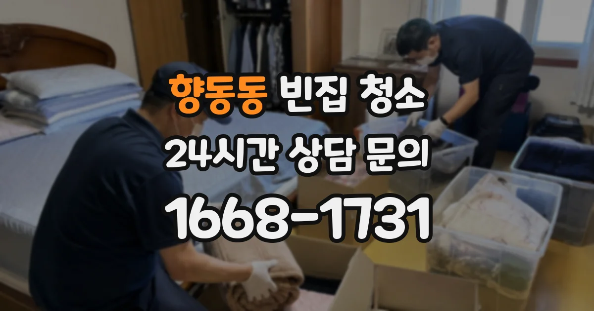 향동동 빈집 청소