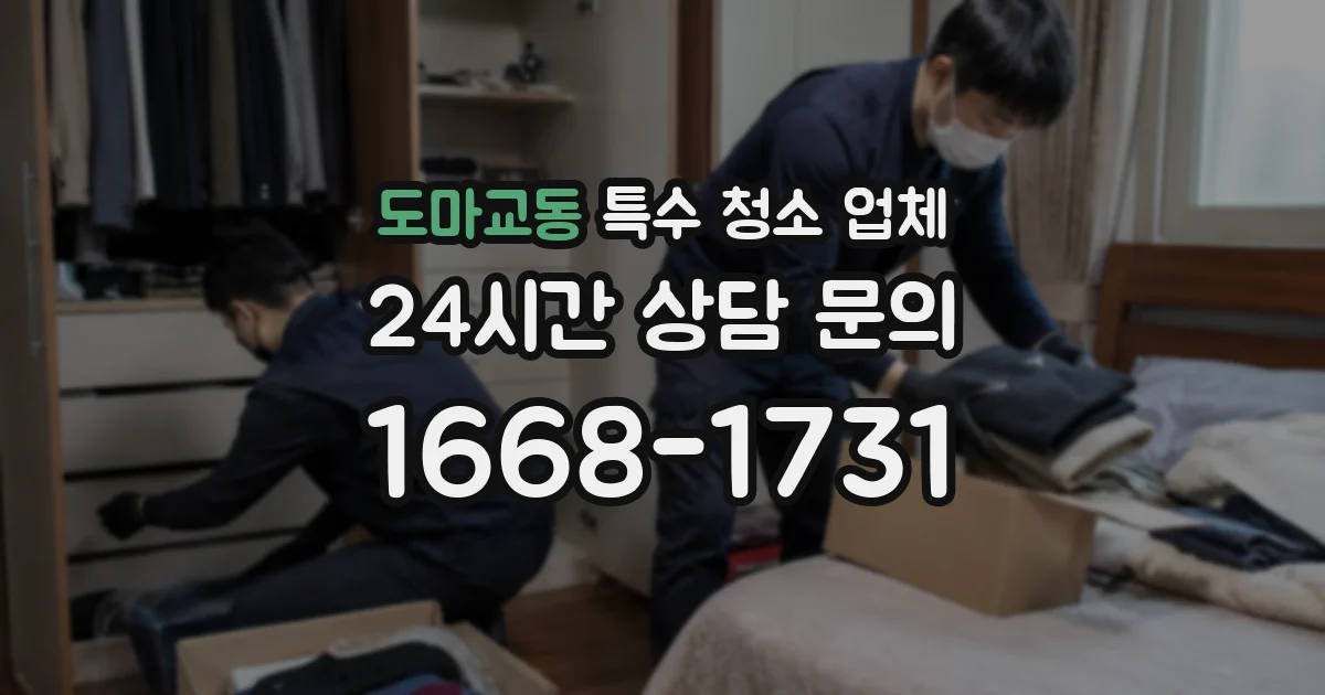 도마교동 특수 청소 업체