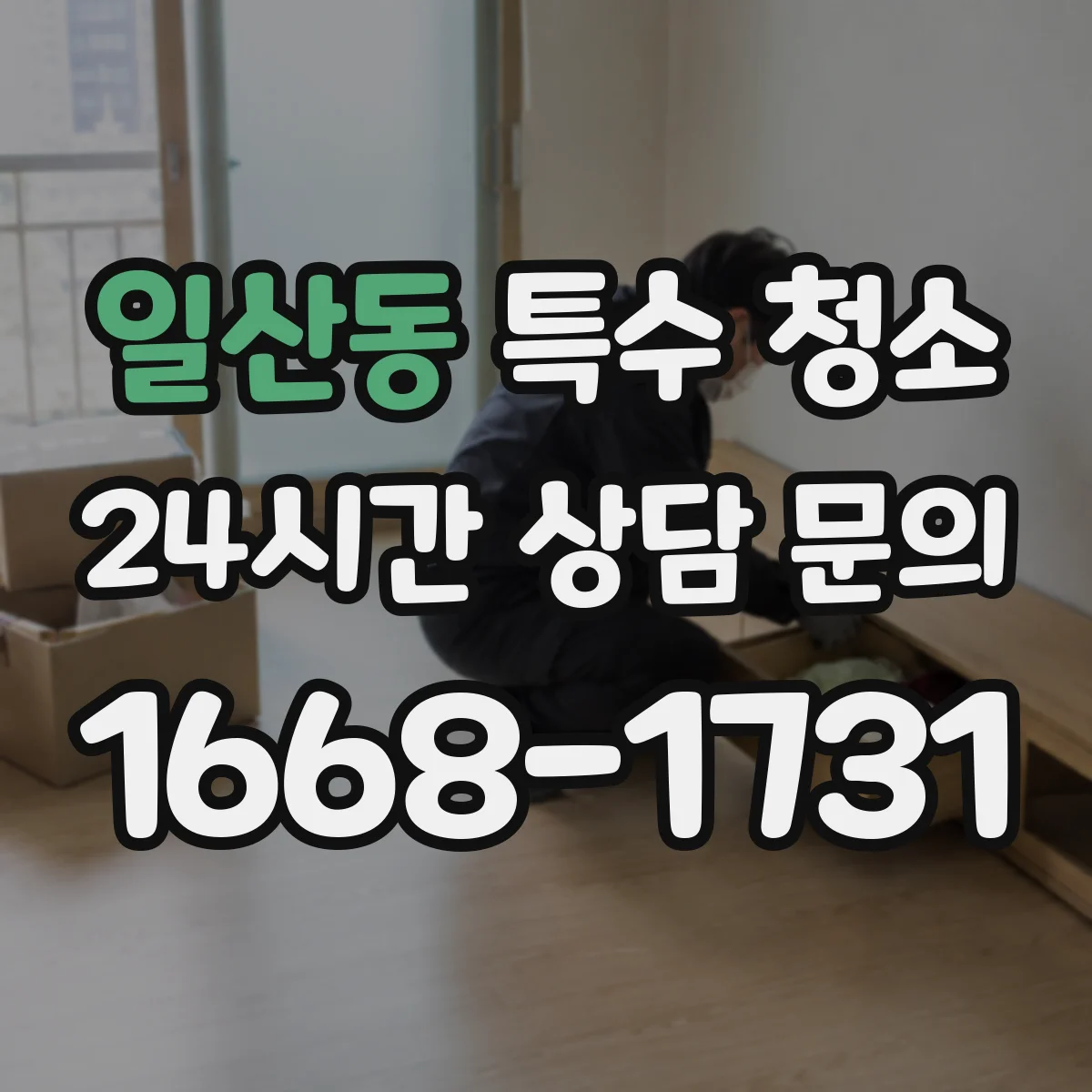일산동 특수 청소