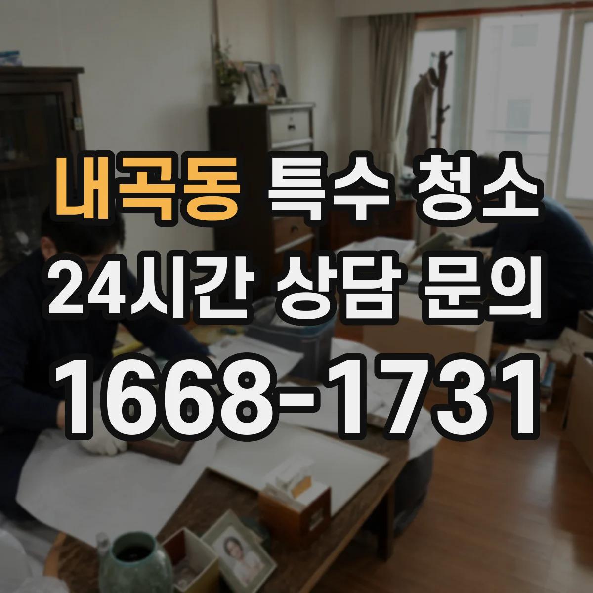 내곡동 특수 청소