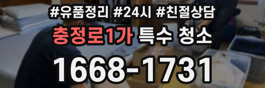 충정로1가 특수 청소