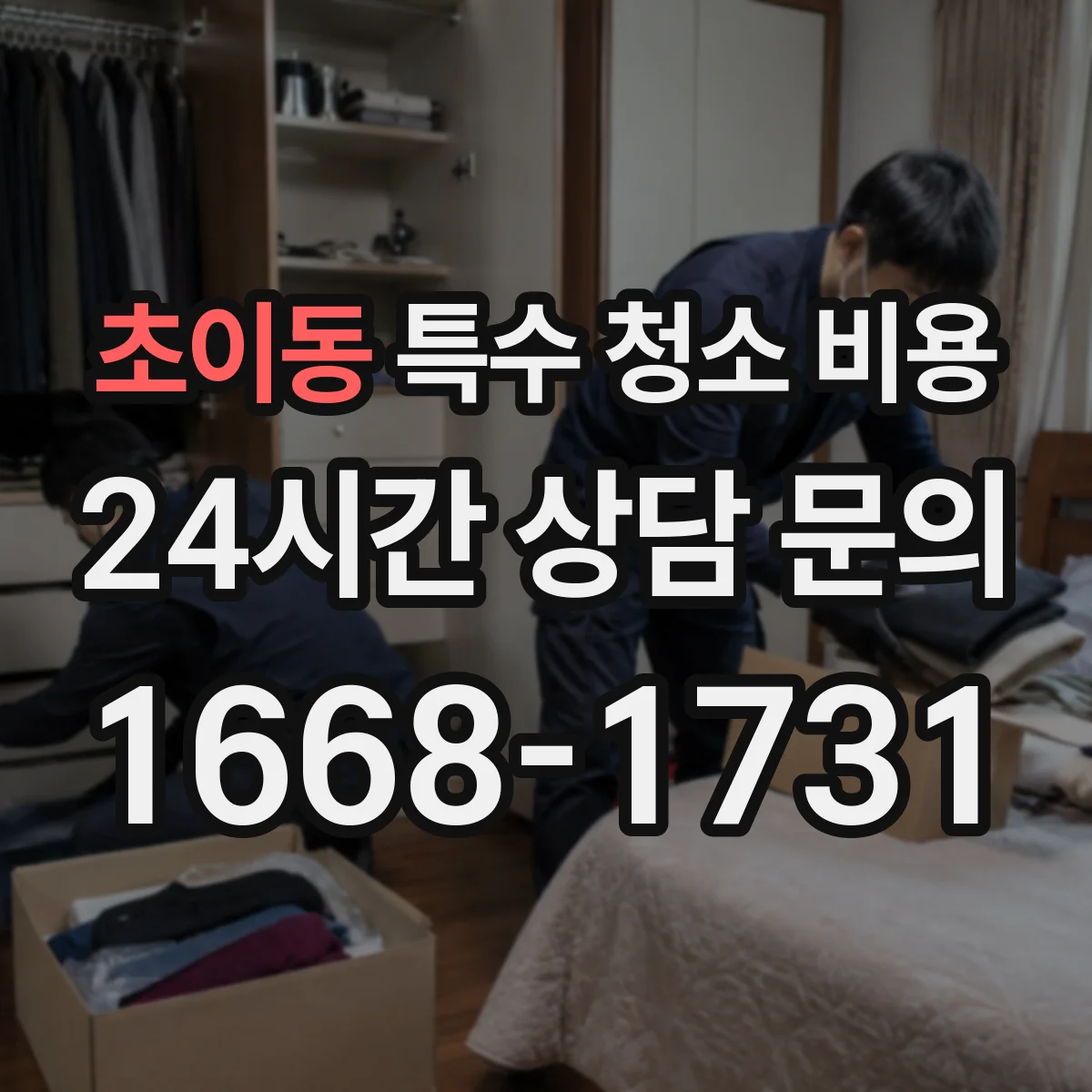 초이동 특수 청소 비용