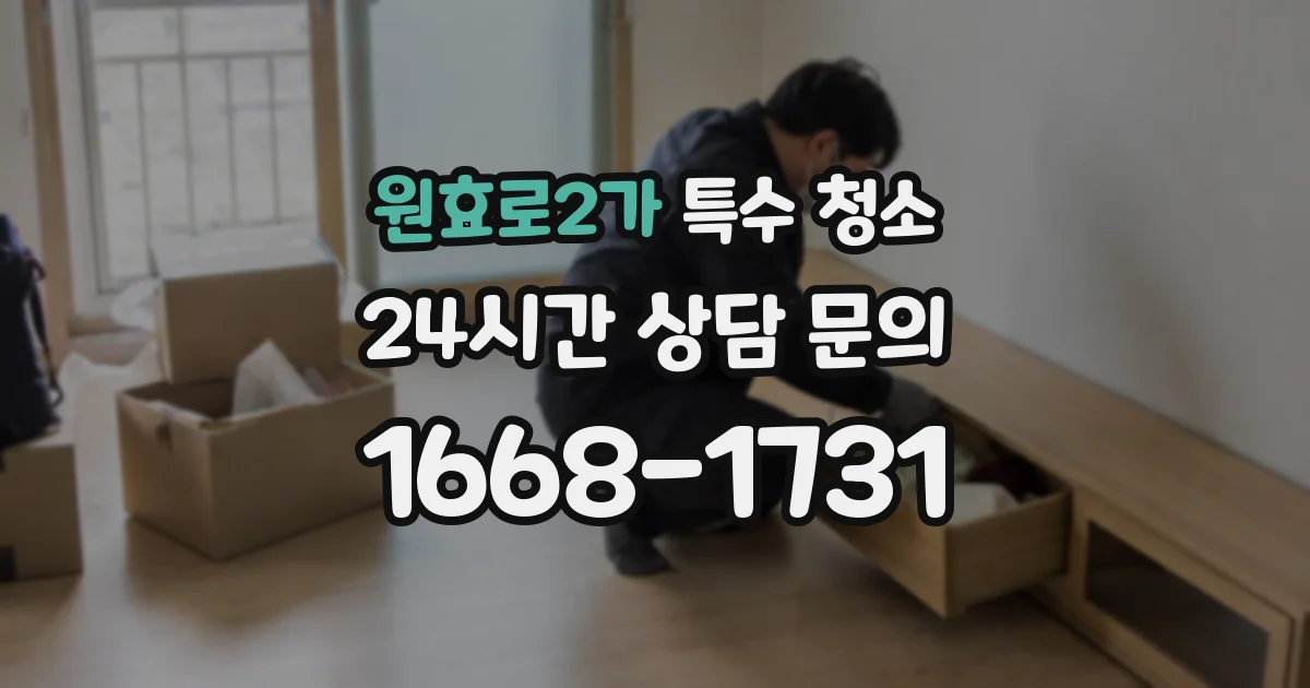 원효로2가 특수 청소