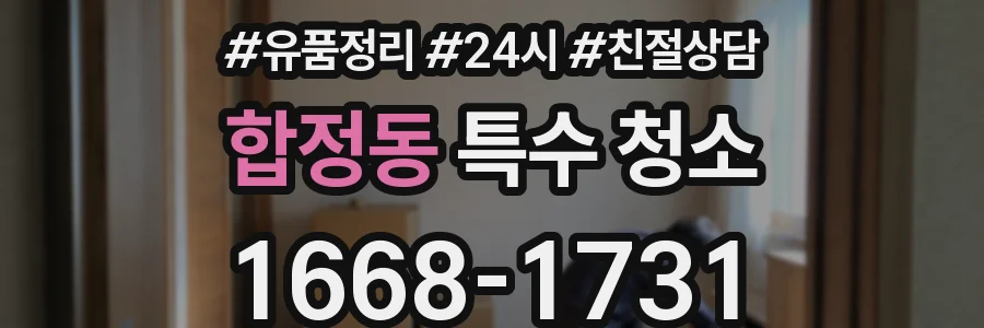 합정동 특수 청소