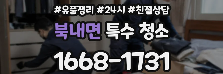 북내면 특수 청소