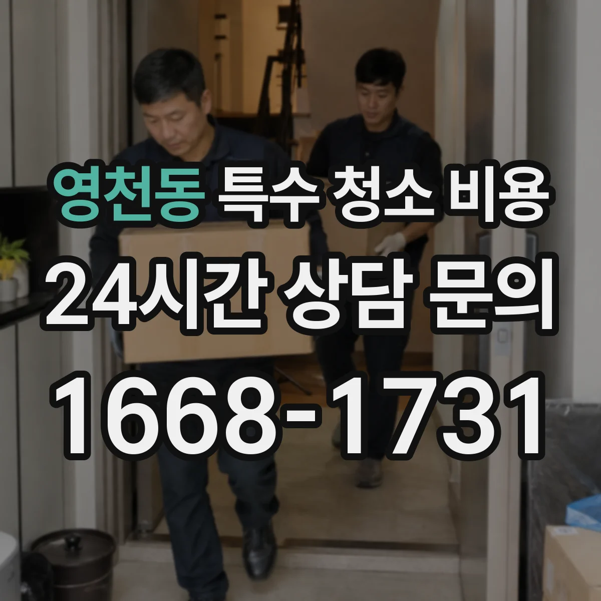 영천동 특수 청소 비용