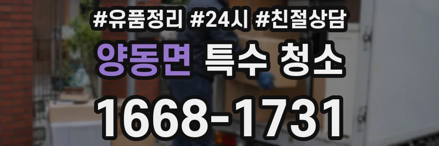 양동면 특수 청소