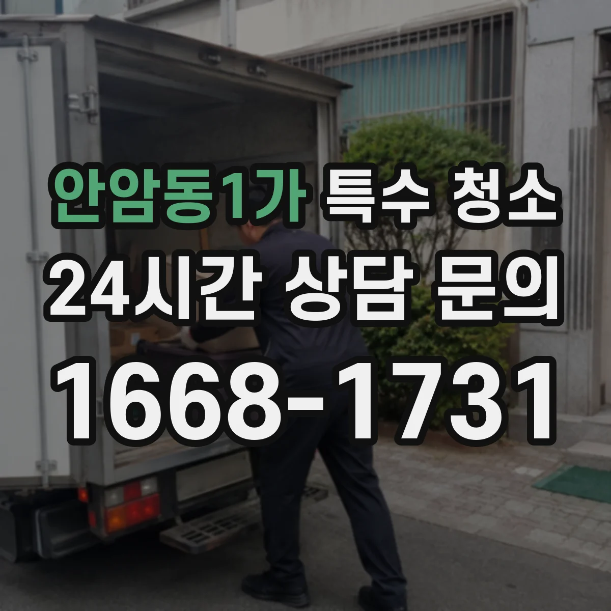 안암동1가 특수 청소