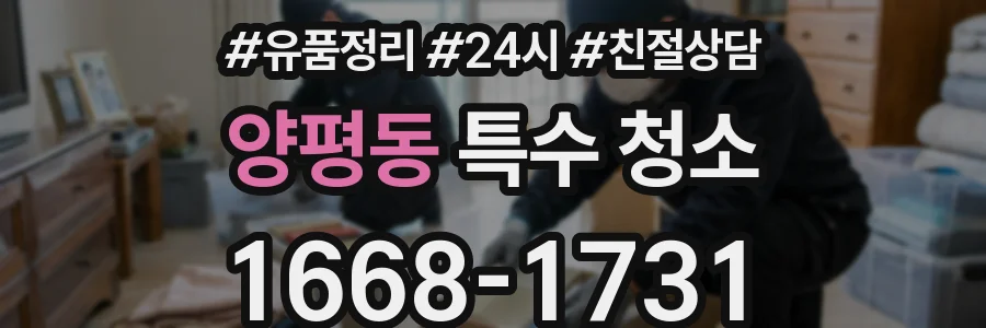 양평동 특수 청소