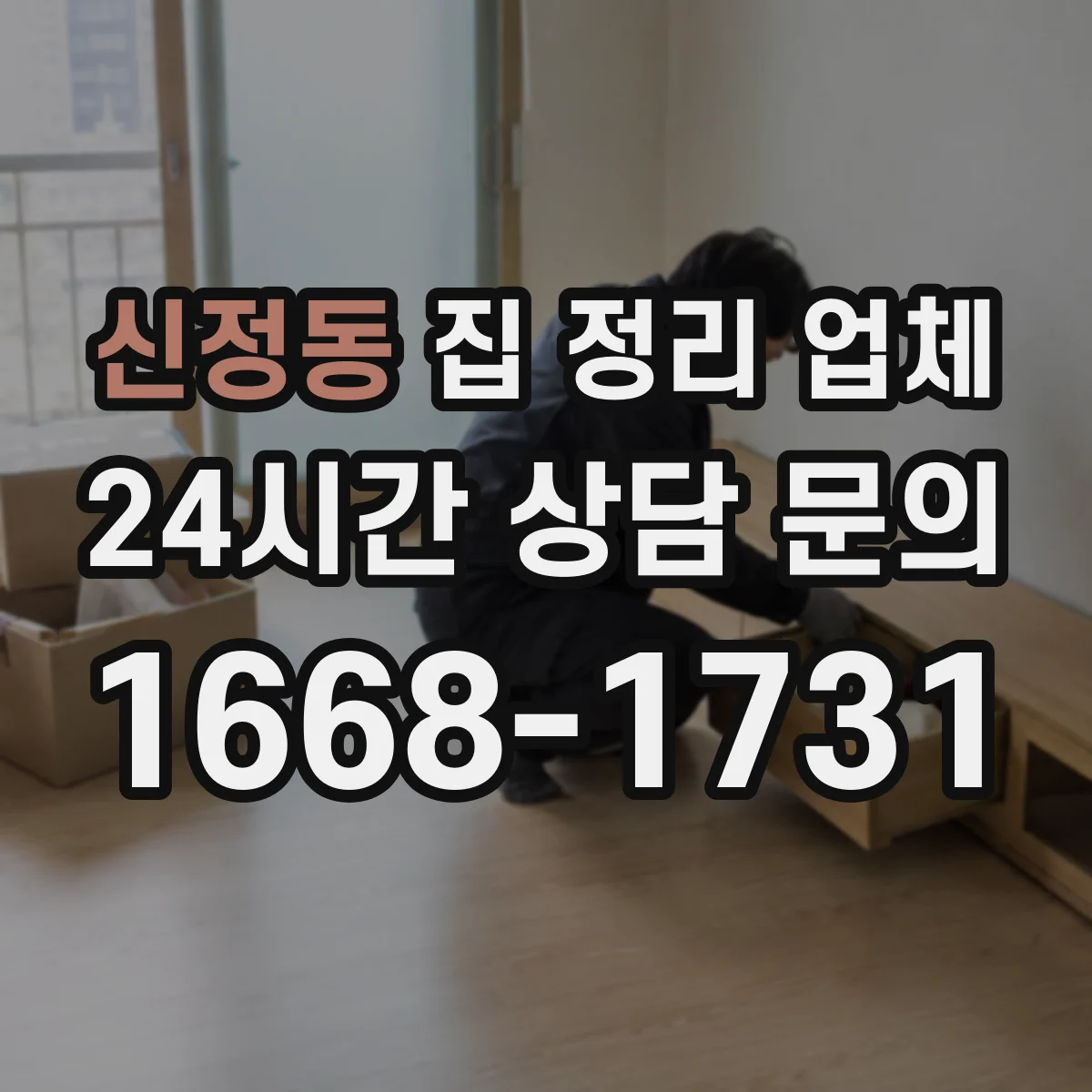 신정동 집 정리 업체