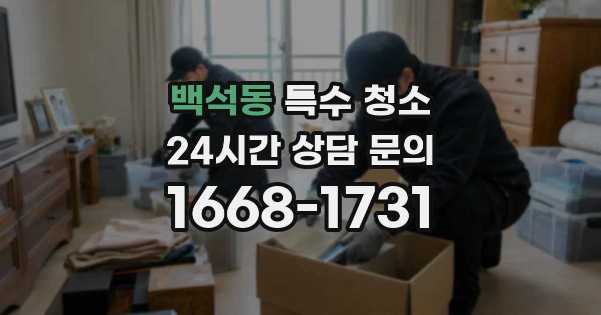백석동 특수 청소