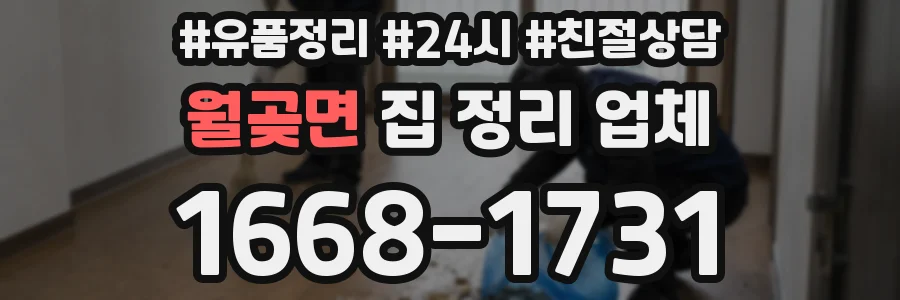 월곶면 집 정리 업체