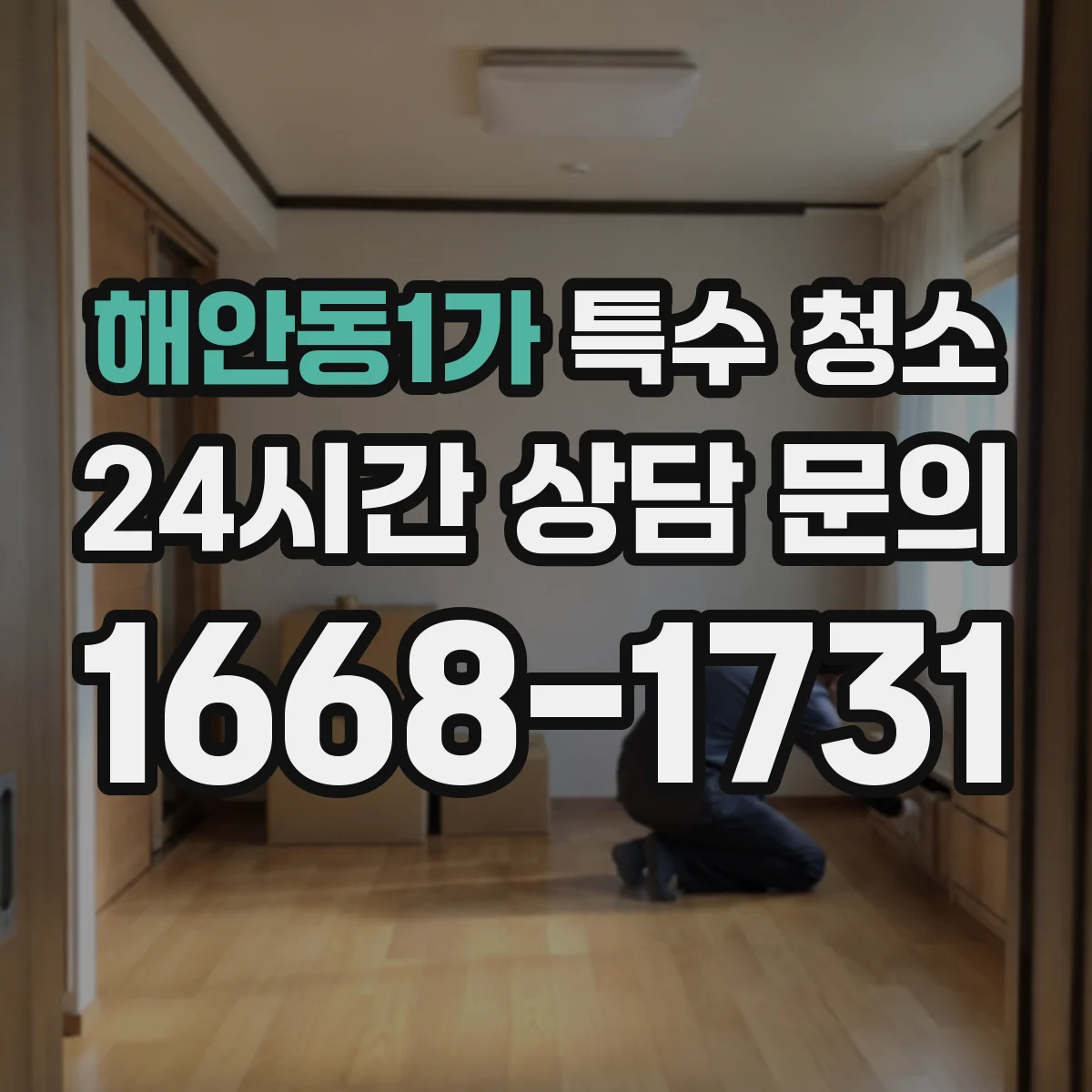 해안동1가 특수 청소