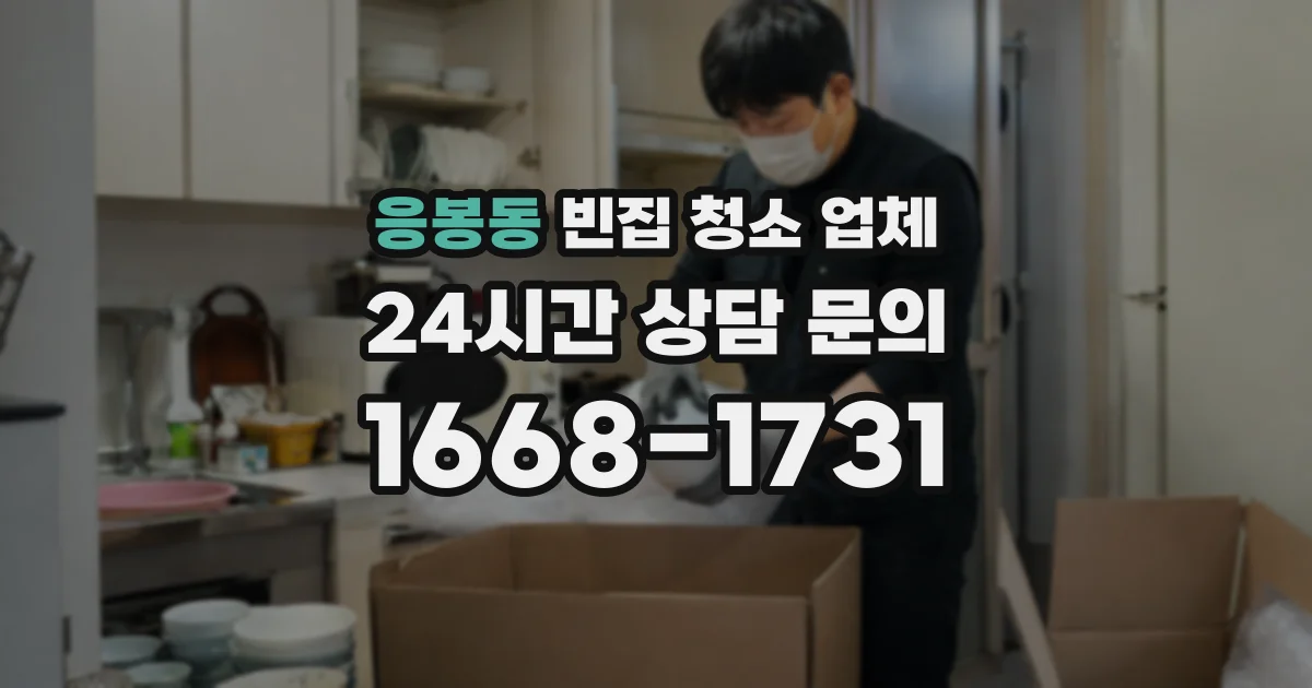 응봉동 빈집 청소 업체