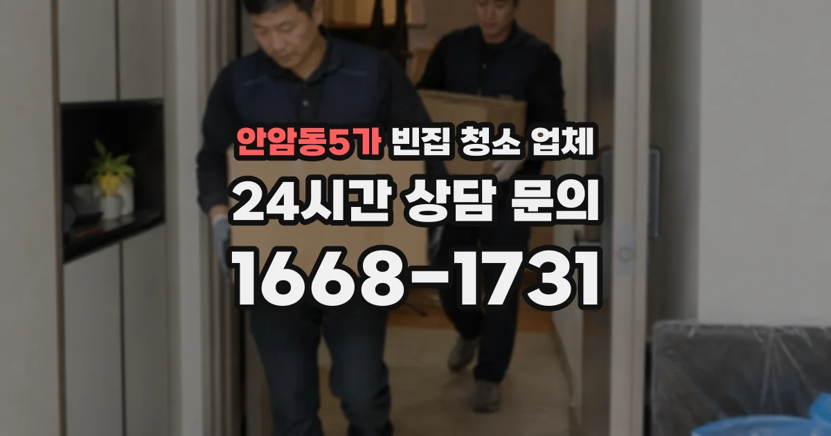 안암동5가 빈집 청소 업체