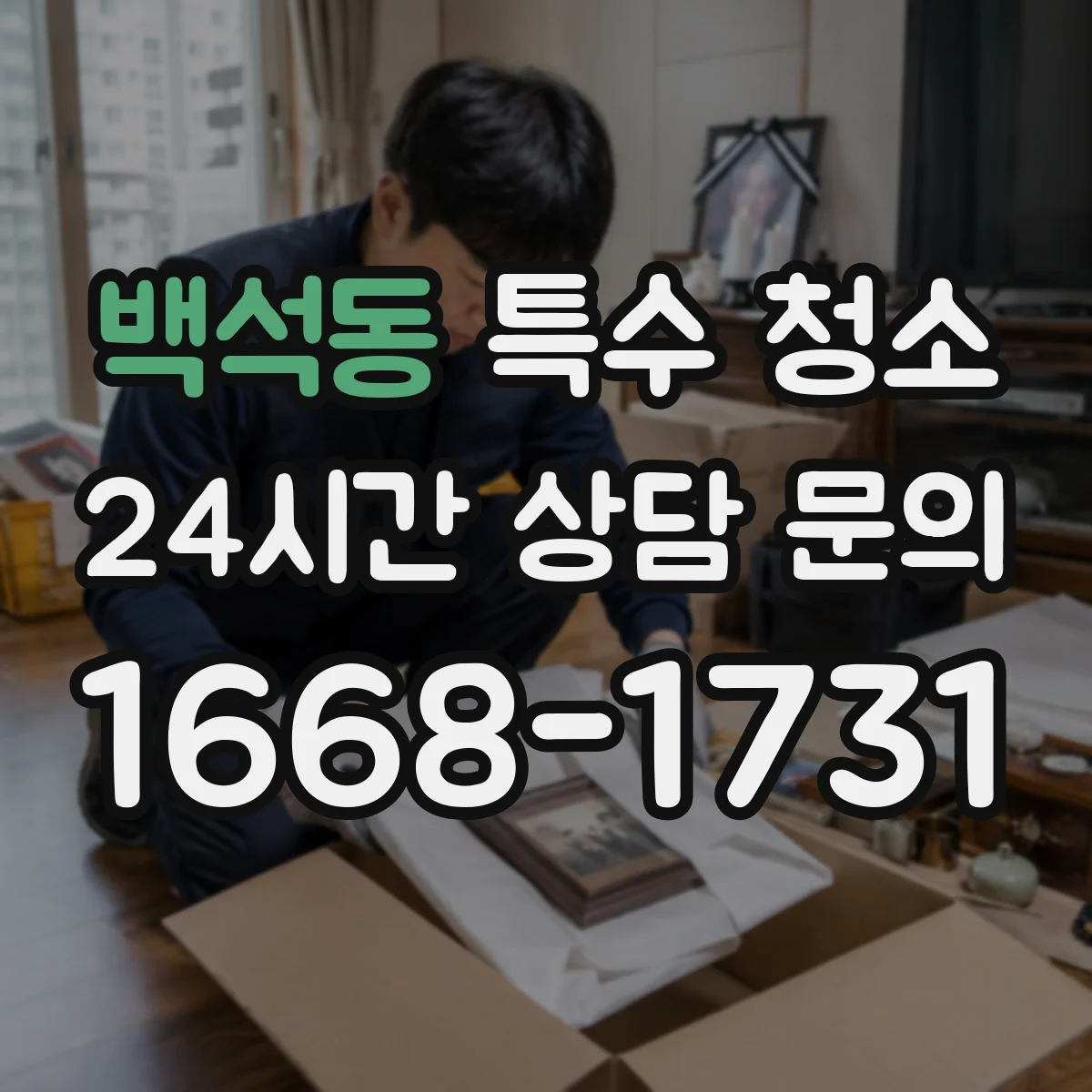 백석동 특수 청소