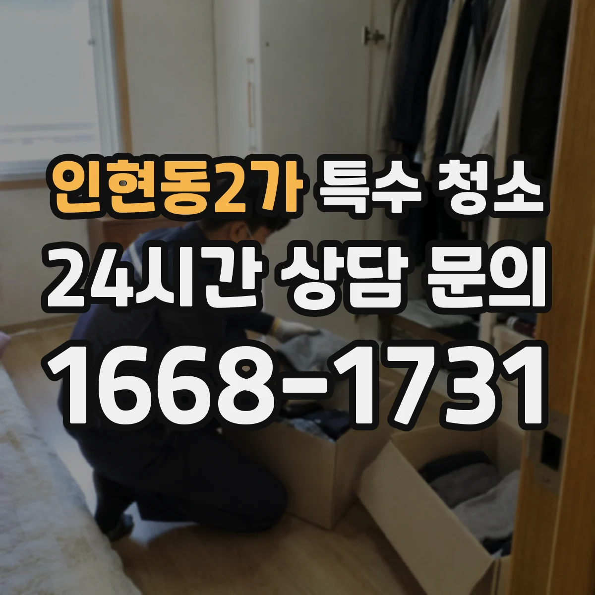 인현동2가 특수 청소
